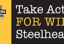 Action Alert: Help Protect Olympic Peninsula Steelhead RIGHT NOW!