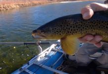 Video: How to Tie Two Effective Egg Patterns