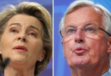 Brexit news: Irish fishing chief lets fly at Brexit ‘betrayal’ – unity crumbles | Politics | News