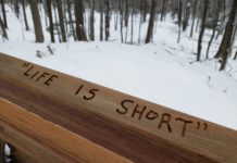 ARIELLE BREEN: 52 opportunities await