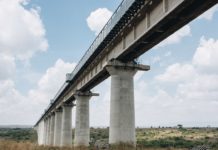 A Kenyan Ecologist’s Crusade to Save Her Country’s Wildlife