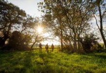 Orvis Joins the Outdoor Industry Association in Supporting Land and Ocean Conservation