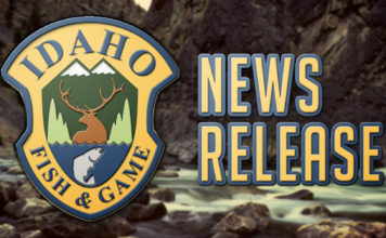Buy your 2021 hunting and fishing licenses now, and there are some great hunting and fishing opportunities – Dailyfly.com Lewis-Clark Valley Community