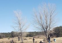 How to fish Silver Creek outside Show Low this winter | Local News