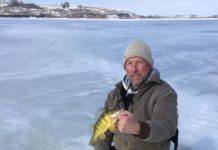 The natural world: Fill a cooler with yellow perch | Outside