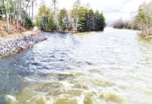 North Country Angling: Welcome 2021 – An angler’s resolutions | Fishing