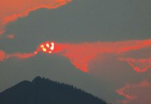 Connections with nature continued through 2020 | Environment