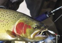 On the trail: Piercing pursuit of steelhead | Outside