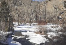 In New Mexico, fishing is fine year-round | Adventure