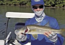 I know it’s cold, but the fish are here | Waterline