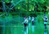 Fly-fishing basics to be taught at Engler Park | Outdoors