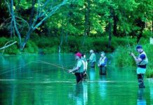 Fly-fishing basics to be taught at Engler Park | Outdoors