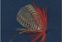 Classic Tip: How to Manage the “Winter Blues”