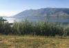 Best Camping Experiences In Idaho State Parks
