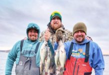 DRIFTWOOD OUTDOORS: Winter crappie fishing fills the freezer – Sports – The Rolla Daily News – Rolla, MO