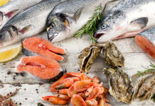 5 Reasons Why Fishing is Good for You