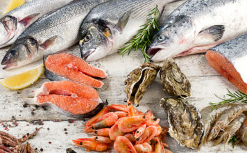 5 Reasons Why Fishing is Good for You
