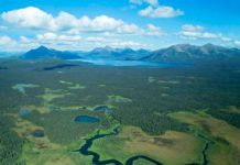 Wednesday Wake-Up Call 01.27.21 – Orvis News