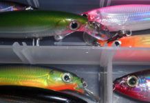 Our Outdoors: Getting Set for Spring