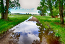 San Luis Valley ranchers see dividends in saving water for fish. Are they on to something?