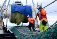 Bering Sea fishermen on edge after COVID-19 closes second plant