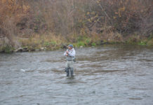 Anglers turn out for gloomy start to steelhead season on Feather River – Chico Enterprise-Record