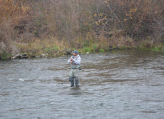 Anglers turn out for gloomy start to steelhead season on Feather River – Chico Enterprise-Record