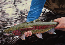 Podcast: The Classic Sporting Art of Bob White