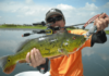 10 South Florida Fishing Tips to Help You Catch and Cook : South Florida Caribbean News