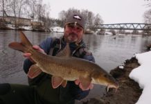 What’s Been Bugging Me About Barbel