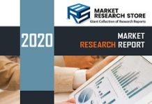Global Fly Fishing Reel Market (COVID-19 Analysis) – Industry Share, Growth, Trends Analysis Report – The Pinstripe Empire