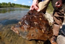 Master Class Monday: How to Fish Deep Nymphs