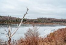 PAUL SMITH: Cutting spruce or fly fishing | Local-Lifestyles | Lifestyles