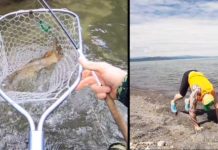 Video: How Long Should You Keep a Trout Out of the Water?