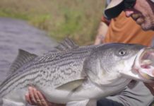 ‘Tools of the Trade’: Where Fly Fishing Meets Songwriting