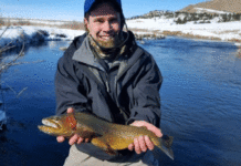 Pro Tips: Top 5 Flies for Winter Tailwaters