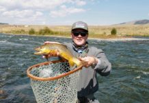 Taylor McCall: Guitars, Trout, and the Debut of “The Hounds”