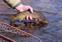 Video: One Simple Tip to Catch More Fish in Winter