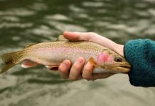 Catch-and-keep trout fishing begins Feb. 1 at Sedalia park