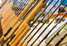 On the Fly column: First rod in your quiver