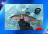 Breaking the ice: An adventure guide to ice fishing in Utah