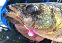 From tungsten to tin, unleaded fishing tackle becoming more mainstream