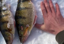 Guide service hopes to inspire love of outdoors in name of the late John Feller