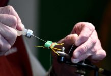 Amid pandemic, more people catch the fly fishing bug