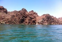 Sewell: No matter the direction, beauty is all around Arizona