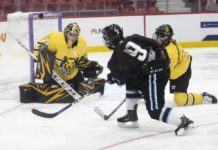 NHL Is Not the Solution To NWHL’s Problems