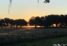 Helping Out for Feb. 3, 2021 > Charleston Business Journal