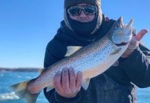 Celebrate Valentine’s Day with Birds on the Niagara international celebration | Outdoors