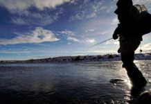 Learning to tie flies may be the perfect pandemic wintertime activity for the angler with a creative streak | Open Spaces