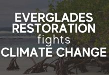 Wednesday Wake-Up Call 02.17.21 – Orvis News